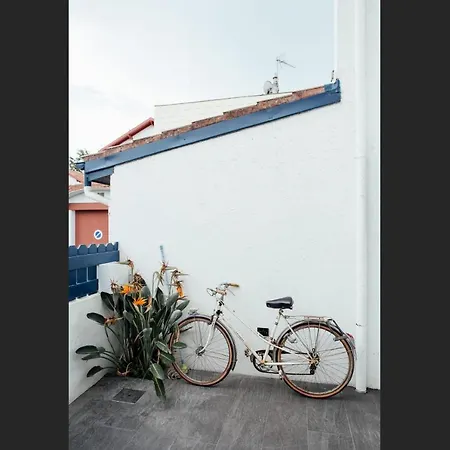 Calypso Beautiful House In Quiet Area Close To Center *