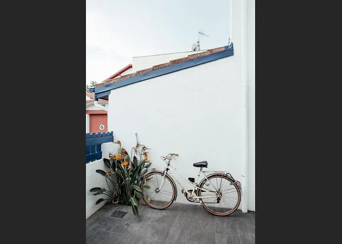 Calypso Beautiful House In Quiet Area Close To Center *